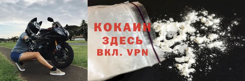 Cocaine 99%  где можно купить   Уржум 