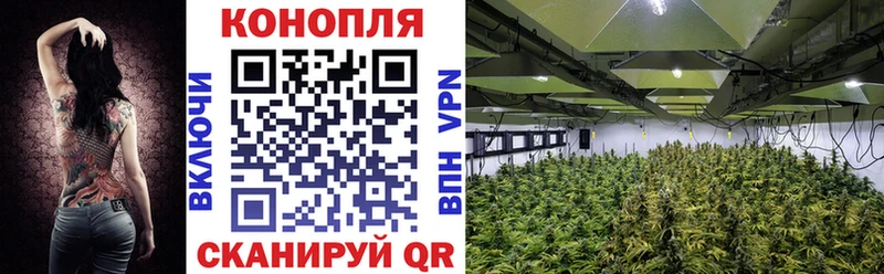 Шишки марихуана Ganja Уржум